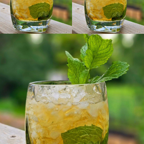 Mint Julep Mint Julep Cocktail Recipe for Girls